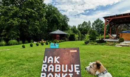 Jak rabuję banki (i inne podobne miejsca)