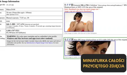 Ukryte dane w plikach — metadane w pentestach
